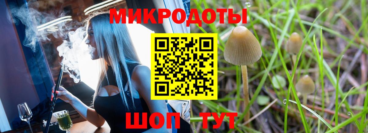 Галлюциногенные грибы мухоморы Кубинка